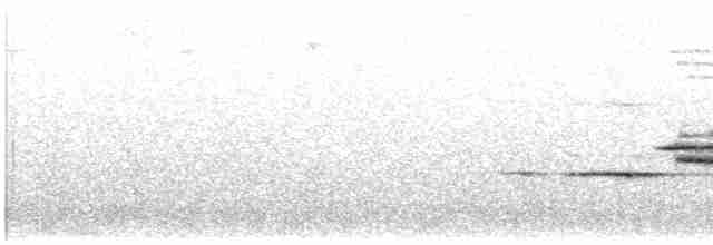 White-tailed Robin - ML570232991