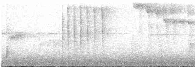 Колібрі-топаз малиновий - ML570236811