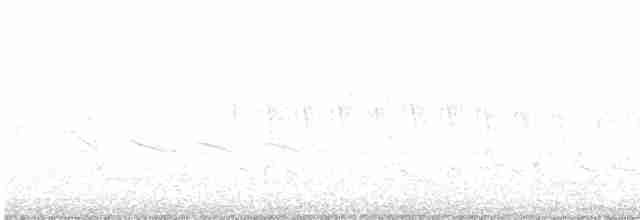 Kızılağaç Sinekkapanı - ML570251021