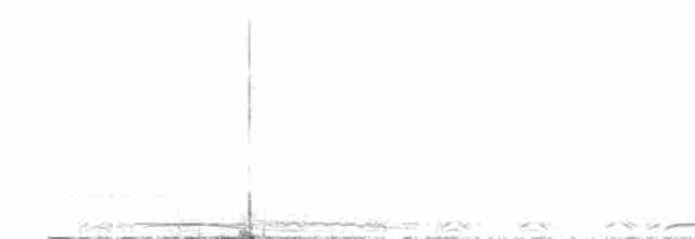 Chouette rayée - ML570265471