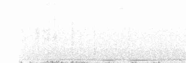 Оазисный колибри - ML57027941