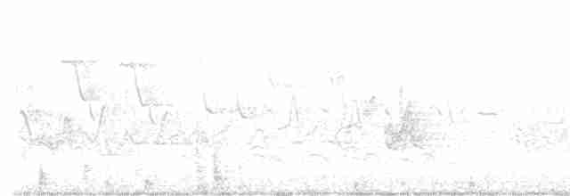 lesňáček modropláštíkový - ML570298691