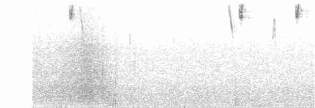 dvergandesspurv - ML57032161