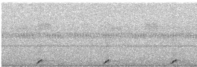 Pauraquenachtschwalbe - ML570324751