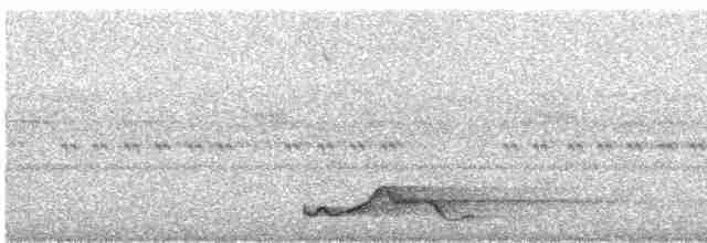 Pauraquenachtschwalbe - ML570324811