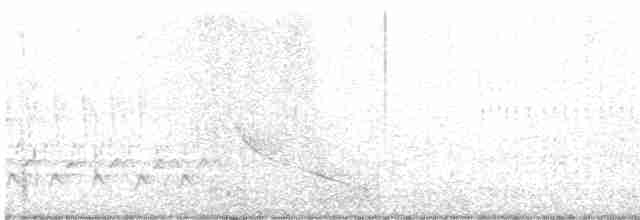 pygmérørdrum - ML570331341