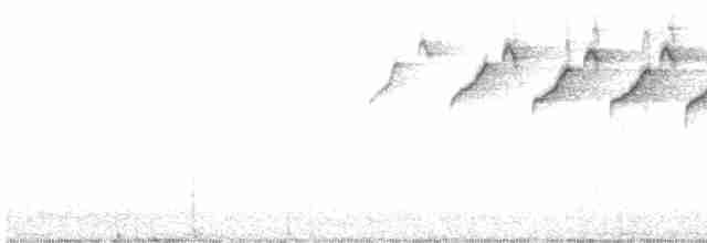 lesňáček černobílý - ML570332861
