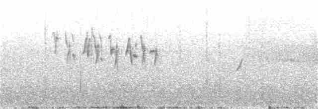 Percefleur à gorge noire - ML57033621
