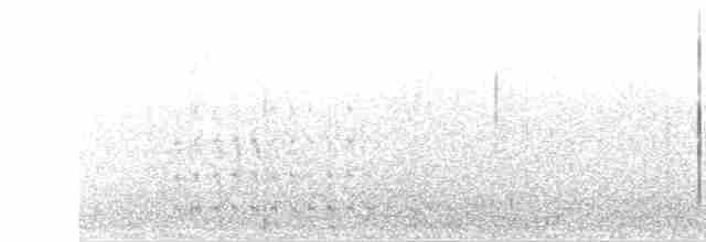 Kara Kanatlı Yer Kumrusu - ML57033881