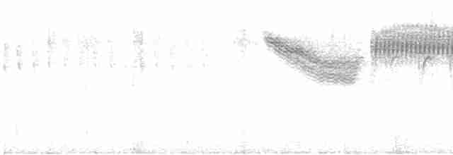 Lawrence's Warbler (hybrid) - ML57034471
