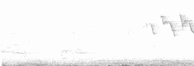 Красноплечий канюк - ML570348541