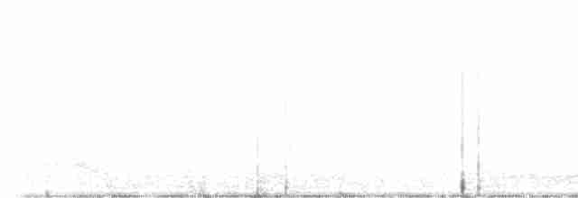 Canada Warbler - ML570348631
