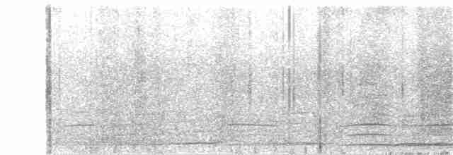 Гигантская лысуха - ML57035311