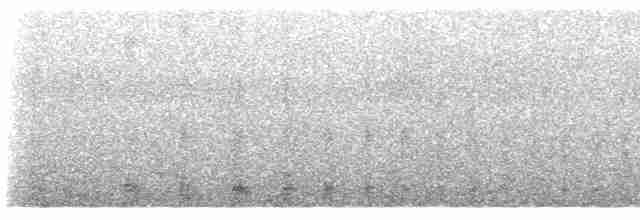 Kutup Fırtınakuşu (glacialis/auduboni) - ML570362361