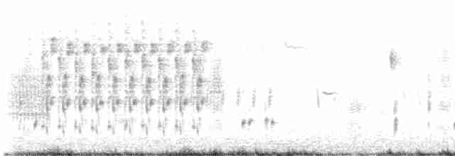 Troglodyte des marais - ML570364921