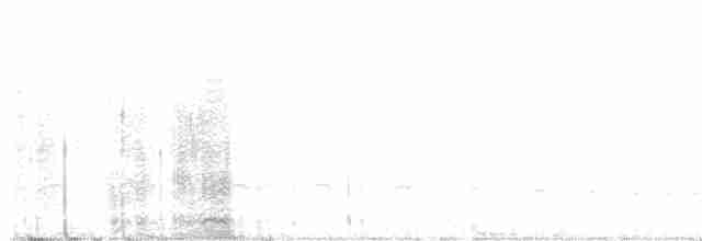 Gri Başlı Elenya - ML570369281