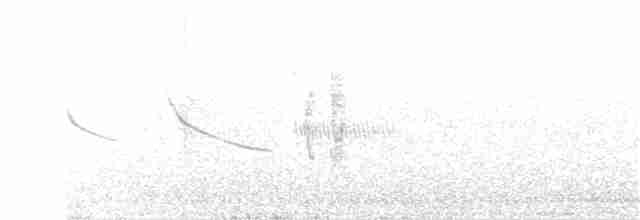 Kestane Gıdılı Tohumcul - ML57038081