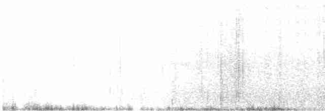dytík bledý - ML57038511