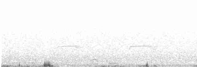 Tschudi's Nightjar - ML57038541