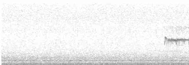 Kara Karınlı Kumkuşu - ML570396311