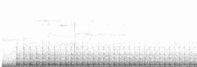 Pileated Woodpecker - ML570461411