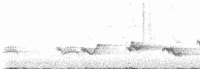 Чернокрылая пиранга - ML570477361