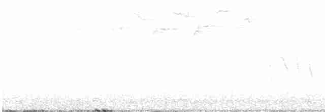 střízlík kanadský - ML570479611