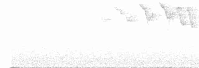 Blackburnian Warbler - ML570492421