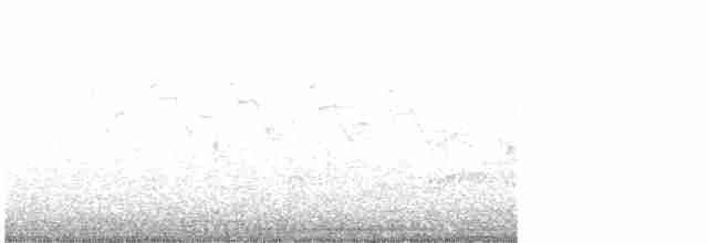 Yellow-throated Warbler - ML570502621