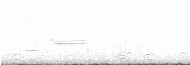Казарка мала (підвид leucopareia) - ML570563431