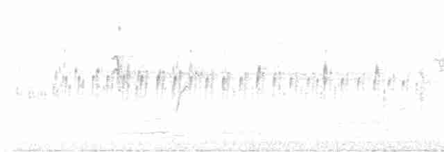 Schwarzstirn-Regenpfeifer - ML570596901