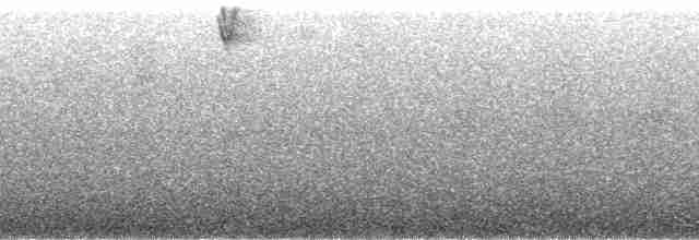 Ak Kanatlı Çalı Serçesi (leucopterus/dresseri) - ML57061
