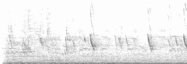 Büyük Mor Kırlangıç - ML570610571
