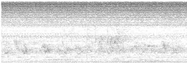 Lühder's Bushshrike - ML570613531