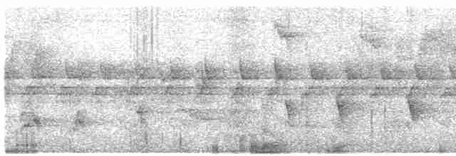 Prinia rayée (melanops/obscura) - ML570631231