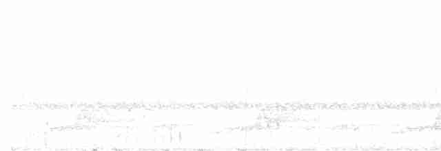 Schwarzkehl-Nachtschwalbe - ML570634971