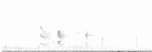 Длиннохвостый тиранн - ML570643461