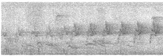 Рувензорская славка-монашка - ML570654701