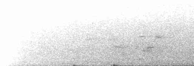 Черная райская мухоловка - ML570657011
