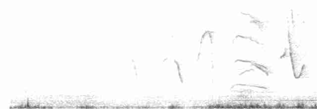 Long-tailed Meadowlark - ML570689411