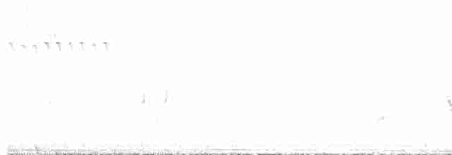 Ak Kanatlı Kara Serçe - ML570701631