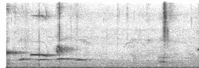 Turuncu Başlı Ardıç - ML570716201