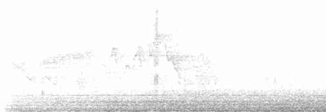 Kara Kanatlı Piranga - ML570754671