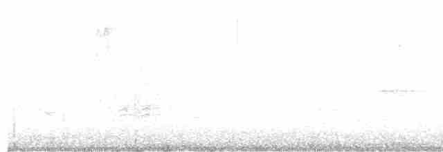 Kara Kanatlı Piranga - ML570813671