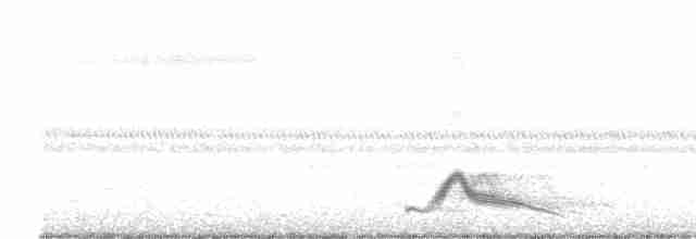 Pauraquenachtschwalbe - ML570816061