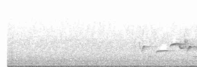 Поплітник каролінський - ML570826841