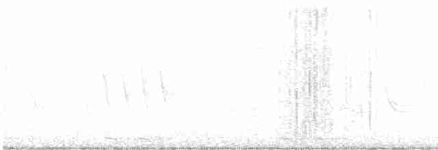 Black-billed Cuckoo - ML570841471