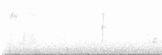 Kara Başlı Kocabaş - ML570850931
