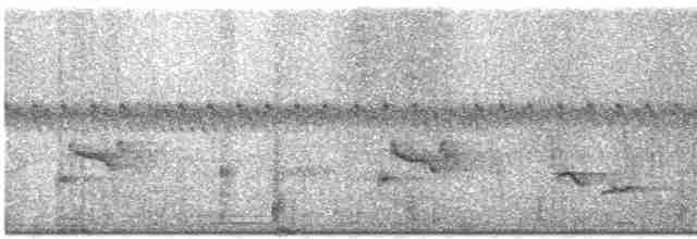 Тирч плямистоволий - ML570853021