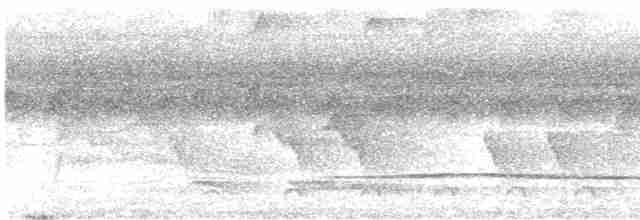 Little Tinamou - ML570913141